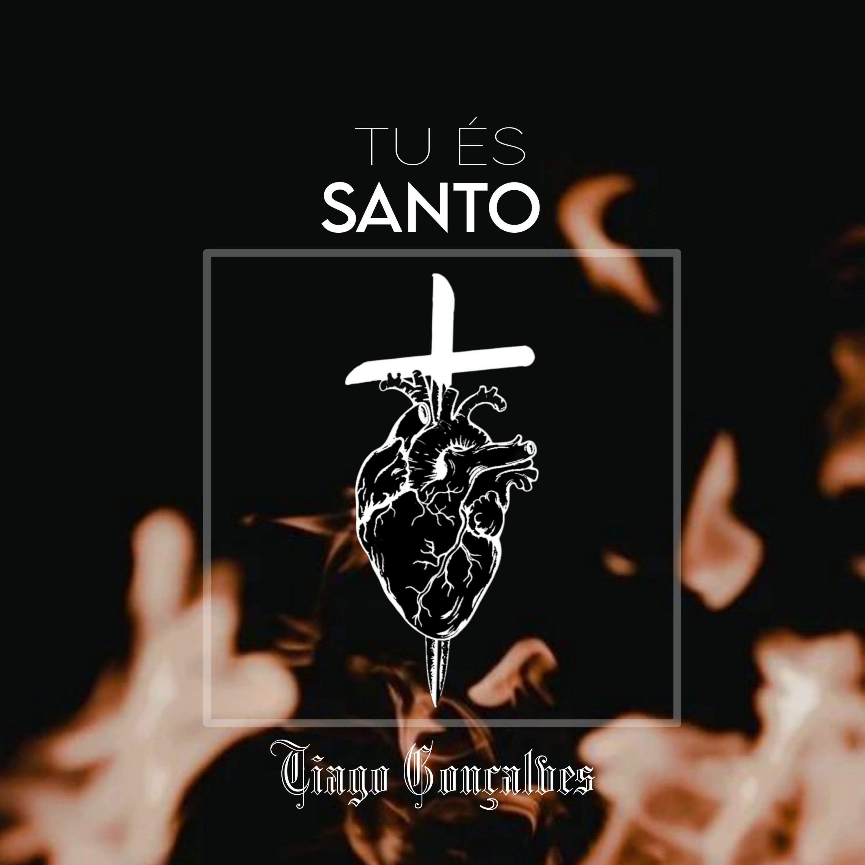 Tu És Santo - Single