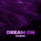 Dream on (Dnb Remix) artwork