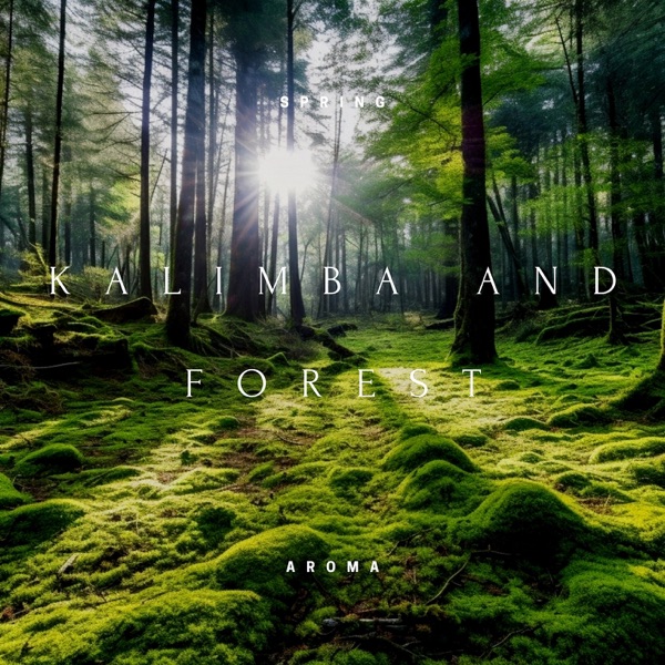 Kalimba and Forest: A Meditative Sound Journey