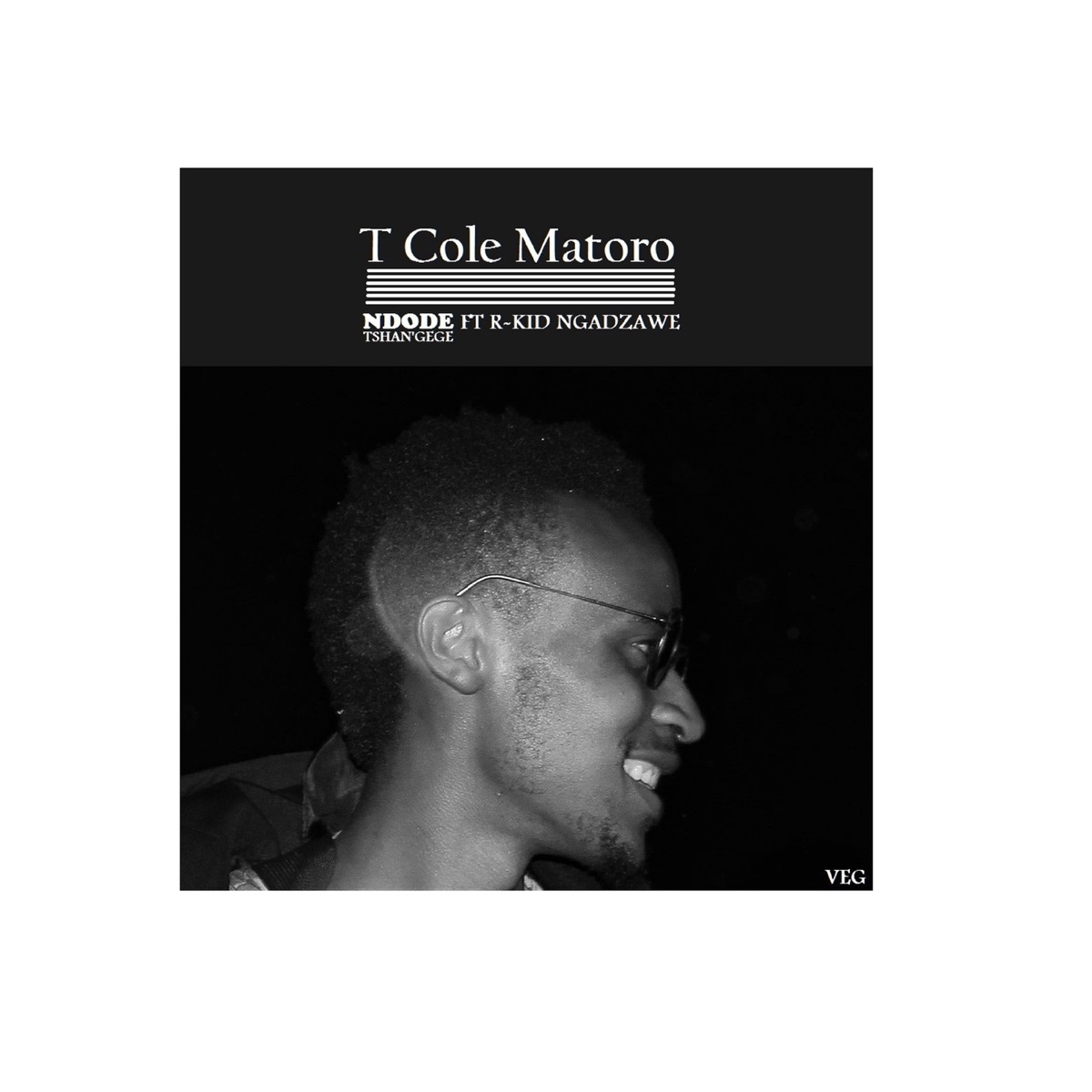 Winning in Losing (WiL) - Album by T Cole Matoro - Apple Music