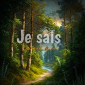 Je sais artwork