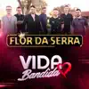 VIDA BANDIDA