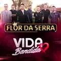 Vida Bandida