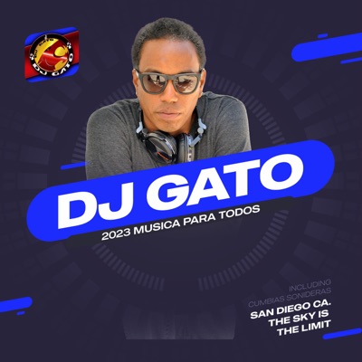 DJ Gato Merengue Tipico Mix cover art