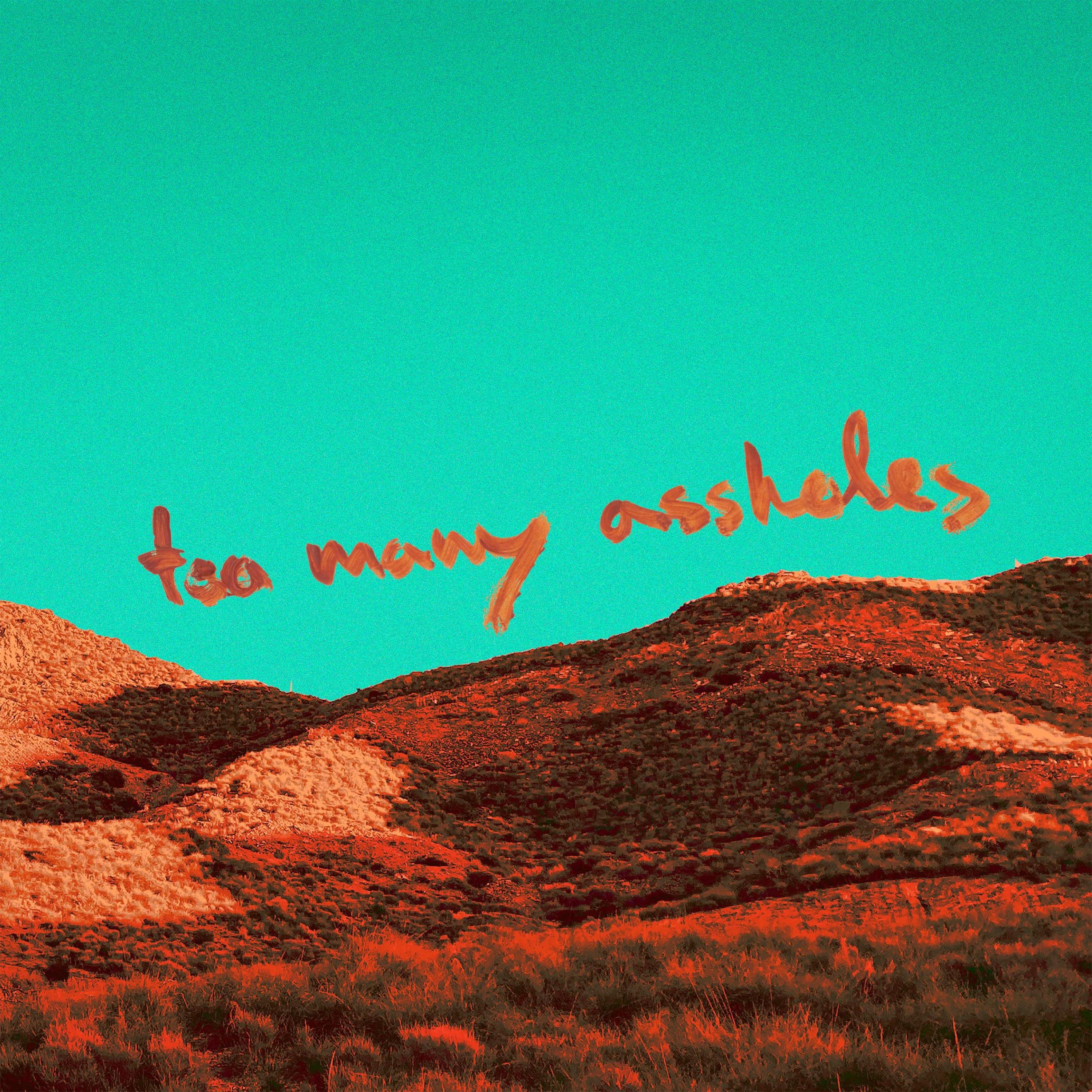 Too Many Assholes - EP