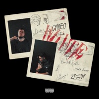 White - Single - Zygor & Cvneo