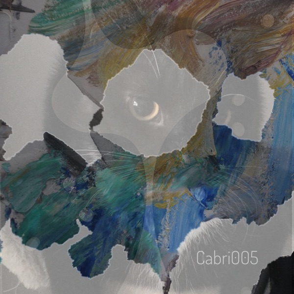 Cabri005 - Single