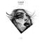 Danae - Evade (MT) lyrics