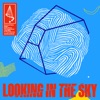 Looking in the Sky - Single