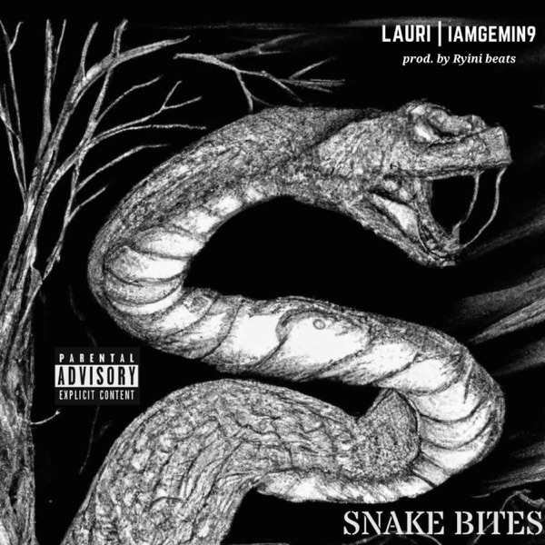 Snake Bites