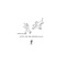 Loving Loop - Eric Schumacher & Andrea Clavadetscher lyrics
