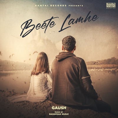 Beete Lamhe (feat. Avanipriya Soni) - Single