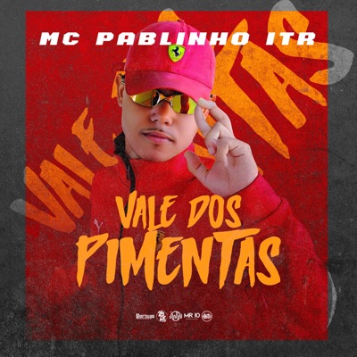 Vale dos Pimentas (feat. Plvco) - Single