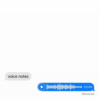 Voice Notes - Single