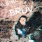 Bruv - Postell lyrics