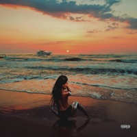 The Pursuit of Happiness II - DJ Spinz & K-Major