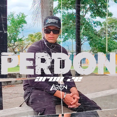 Perdón - Single