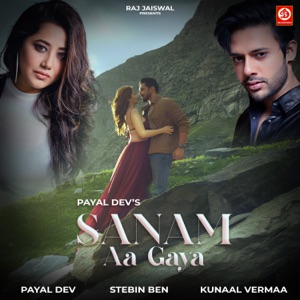 Sanam Aa Gaya