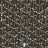 Goyard (feat. Playboi SHVA) - Single - Yung Shak