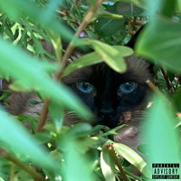 Felis (feat. Rucinni) - EP - Lilo Balão