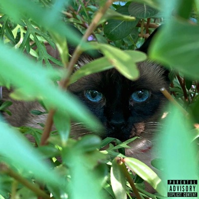 Felis (feat. Rucinni) - EP