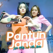 Pantun Janda (feat. Vita Alvia) artwork