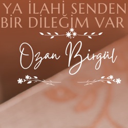 Seyreyle Güzel (feat. Ozan birgül)