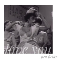Love You Pen Fields
