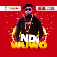 Ndi Wuwo - Single - Bebe Cool