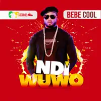 Ndi Wuwo — Bebe Cool