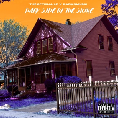 Dark Side of the Shine