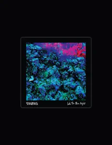 聆聽 SWiiMS、觀看音樂影片、閱讀小傳、查看巡演日期等！