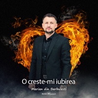 O creste-mi iubirea - Single - Marian din Barbulesti