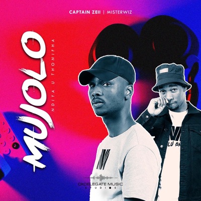 Mujolo (feat. Misterwiz) - Single