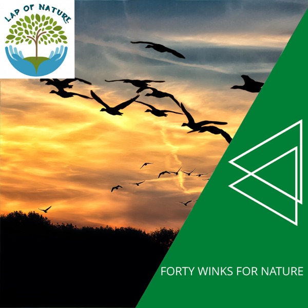 Forty Winks for Nature