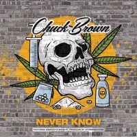 Never Know (feat. Sankofa & BISON.FC) - Single - ChuckBrownLyrics