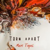 Torn Apart (feat. Arıkan Sırakaya, Metin Turkcan & Zafer Şanlı) - Single