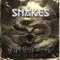 Snakes (feat. J Phi & GTM Ben0) - GTM YoungRocky lyrics