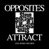 Opposites Attract - Single