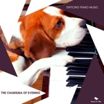 Jason Ross - Joyous Melody (Solo Piano in C Sharp Minor)