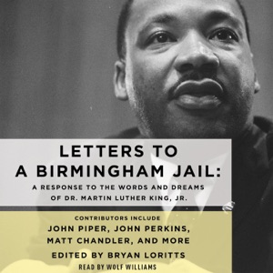 Letters to a Birmingham Jail: A Response to the Words and Dreams of Dr. Martin Luther King, Jr.