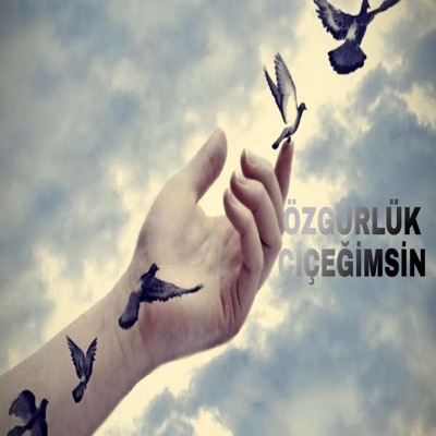 SORE BEATZ - Kurdish Trap Özgürlük Çiçeğimsin