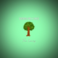Tree Leaves (feat. JARED) - Single - DomoMajor