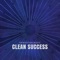 Clean Success artwork