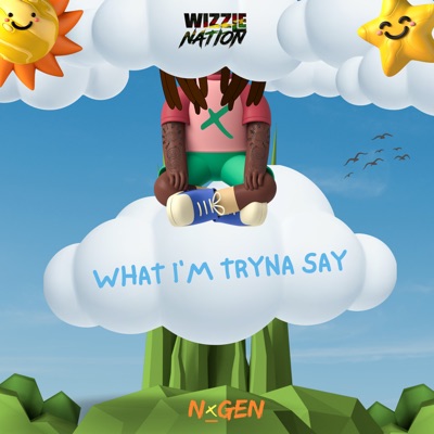 What I'm Tryna Say - Single