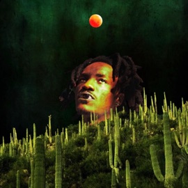 First Glance Quantum Flush