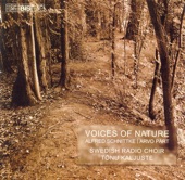 Schnittke / Part: Voices of Nature artwork