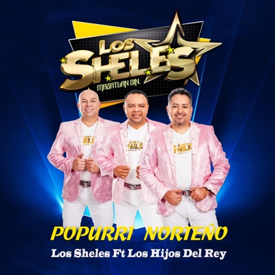 Popurrí Norteño (feat. Los Hijos Del Rey) - Single
