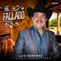 He Fallado