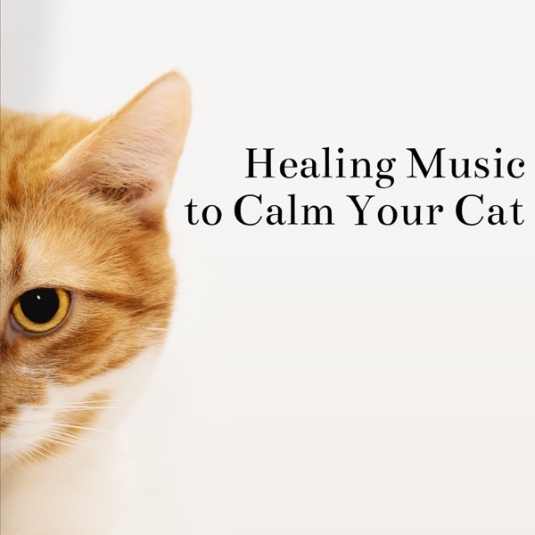 Healing Music to Calm Your Cat - Stress Relief, Relaxation
